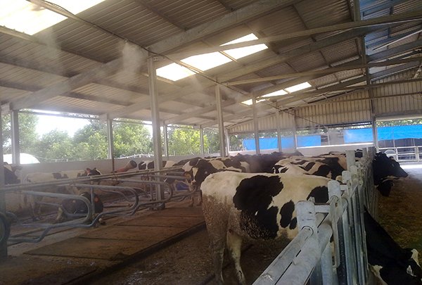 Hayvan Ahırı Serinletme ve Nemlendirme Sistemleri Hayvan Ahırı Serinletme ve Nemlendirme