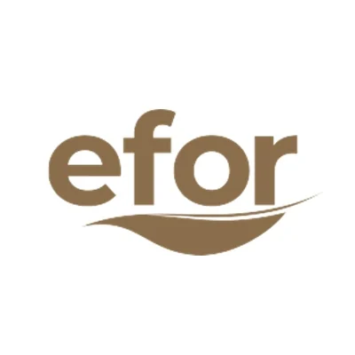 MEGAMİST profesyonel uygulama görseli: Efor