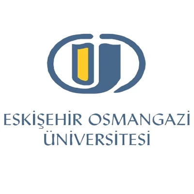 MEGAMİST profesyonel uygulama görseli: Referans Projesi