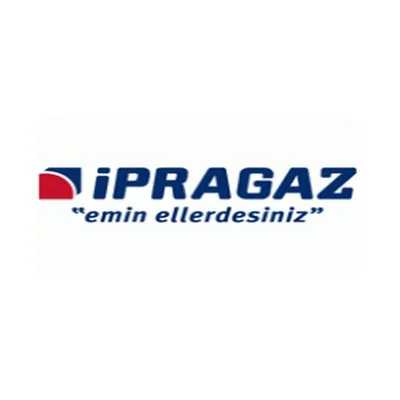 MEGAMİST profesyonel uygulama görseli: Referans Projesi