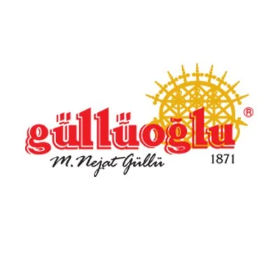 MEGAMİST profesyonel uygulama görseli: Referans Projesi