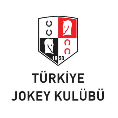 MEGAMİST profesyonel uygulama görseli: Referans Projesi