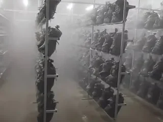 Mantar odasında kontrollü nemlendirme uygulaması